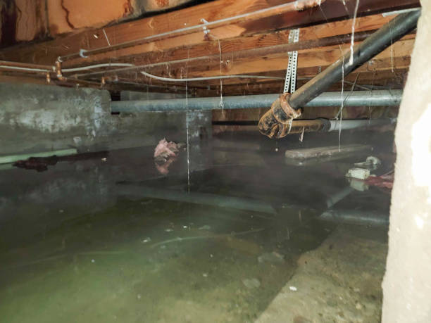 Professional Water damage restoration in Shorewood, MN